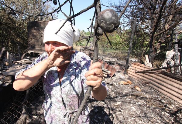 يوليو/ تموز 2019. امرأة أمام شجرة التفاح في فناء الدار التي تعرضت إلى قصف من قبل القوات الأوكرانية. - سبوتنيك عربي