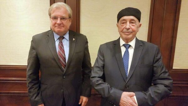 رئيس مجلس النواب الليبي عقيلة صالح يلتقي السفير الأمريكي لدى ليبيا ريتشارد نورلاند  - سبوتنيك عربي