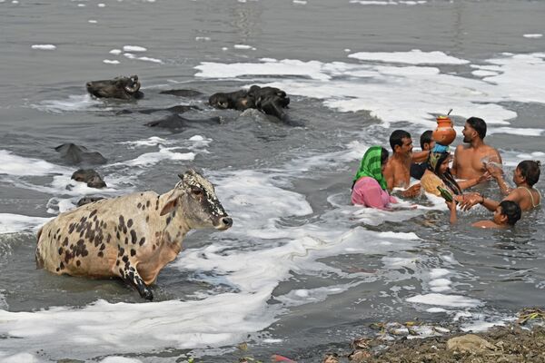 الهندوس يصلون في المياه الملوثة لنهر يامونا المحملة بالرغوة، في يوم صيفي حار في نيودلهي، الهند7 مايو 2022. - سبوتنيك عربي