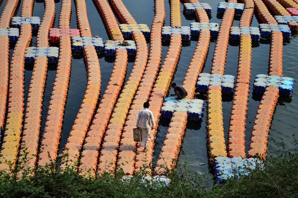 رجل يسير على طول رصيف مصنوع من مكعبات بلاستيكية على مياه نهر يامونا في مدينة الله أباد، الهند في 11 مايو 2022. - سبوتنيك عربي