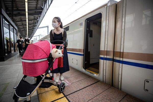 يستقل الركاب قطار شينكانسن السريع مع كلابهم للتوجه في رحلة مدتها ساعة واحدة، من طوكيو إلى منتجع كارويزاوا، اليابان 21 مايو 2022. - سبوتنيك عربي