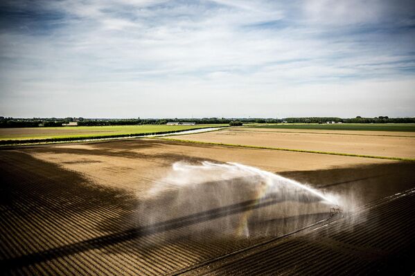 تظهر هذه الصورة الجوية مزارعًا يروي حقله في فيناارت، جنوب هولندا، 18 مايو 2022. - سبوتنيك عربي