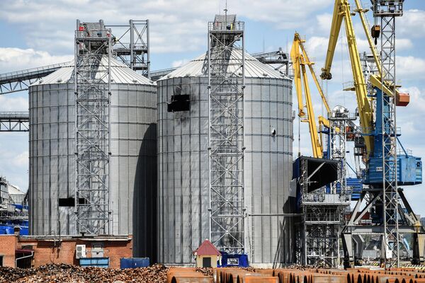 صوامع معدنية لتخزين الذرة في ميناء ماريوبول - سبوتنيك عربي