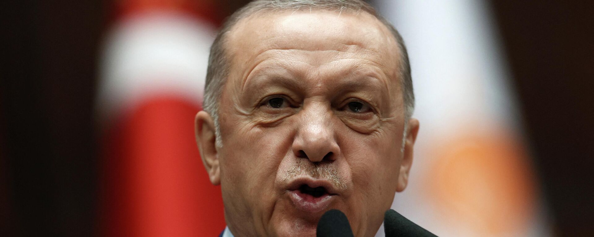 الرئيس التركي، رجب طيب أردوغان - سبوتنيك عربي, 1920, 25.07.2022