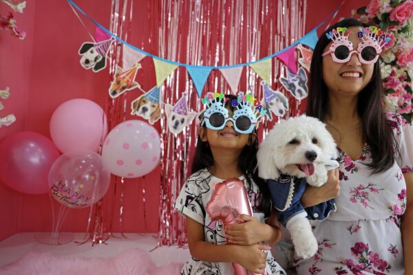الكلبة بلانكا تحتفل بأول عيد ميلاد لها، في أول مقهى للكلاب في دبي، في 30 مايو 2022  - سبوتنيك عربي