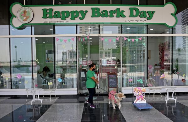  أحد مظفي مقهى للكلاب هابي بارك داي (Happy Bark Day) في دبي، يرحب يستقبل الكلاب، 30 مايو 2022 - سبوتنيك عربي