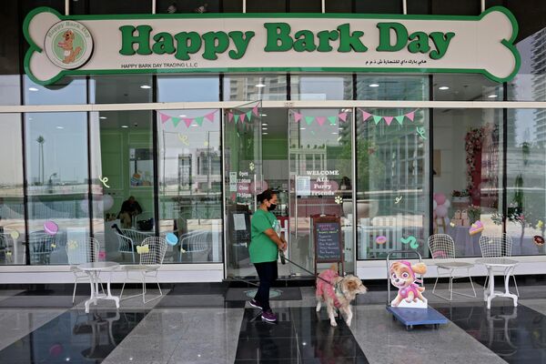  أحد مظفي مقهى للكلاب هابي بارك داي (Happy Bark Day) في دبي، يرحب يستقبل الكلاب، 30 مايو 2022 - سبوتنيك عربي