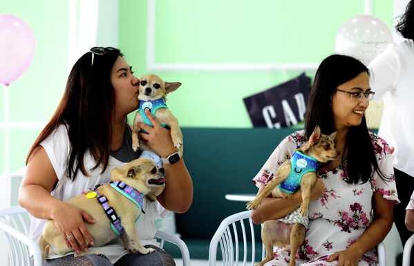 الكلاب وأصحابها تحتفل بعيد ميلاد أحد الكلاب، في أول مقهى للكلاب في دبي، في 30 مايو 2022  - سبوتنيك عربي