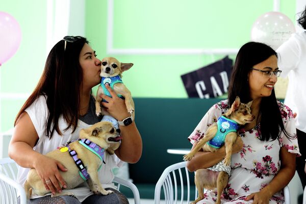 الكلاب وأصحابها تحتفل بعيد ميلاد أحد الكلاب، في أول مقهى للكلاب في دبي، في 30 مايو 2022  - سبوتنيك عربي