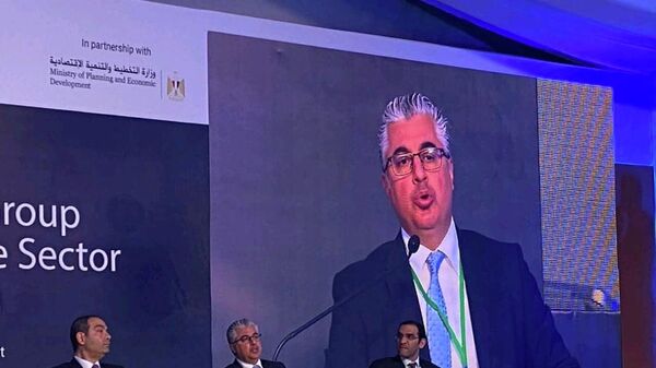 نائب رئيس الهيئة الاقتصادية لقناة السويس المصرية لشئون الاستثمار والترويج وليد جمال الدين - سبوتنيك عربي