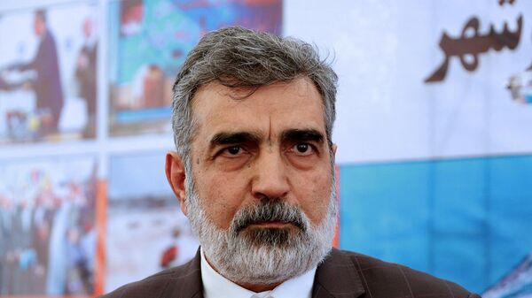 المتحدث باسم منظمة الطاقة الذرية الإيرانية، بهروز كمالوندي - سبوتنيك عربي
