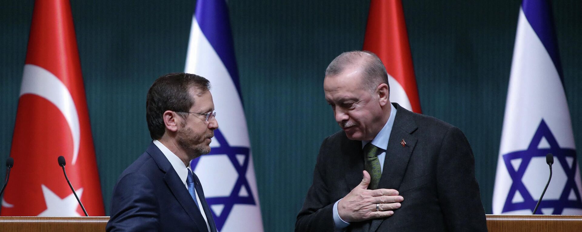 الرئيس الإسرائيلي إسحاق هرتزوغ مع الرئيس التركي رجب طيب أردوغان - سبوتنيك عربي, 1920, 19.06.2022