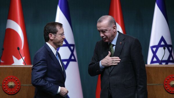 الرئيس الإسرائيلي إسحاق هرتزوغ مع الرئيس التركي رجب طيب أردوغان - سبوتنيك عربي
