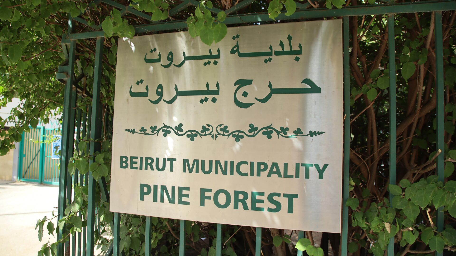 حملة حريق بالناقص لحماية أكبر مساحة خضراء في بيروت - سبوتنيك عربي, 1920, 19.06.2022