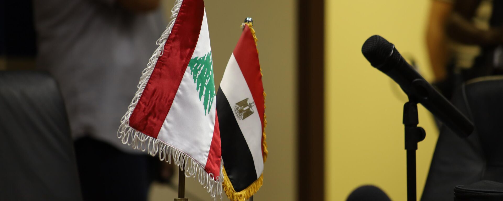 لبنان يوقع عقد شراء الغاز الطبيعي من مصر، وعقد نقل وتبادل مع سوريا - سبوتنيك عربي, 1920, 21.06.2022