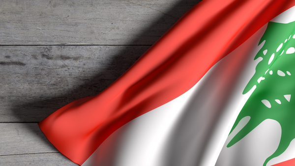 لحود: الأزمات ستتكاثر في لبنان والحلول غير موجودة في المستقبل المنظور - سبوتنيك عربي