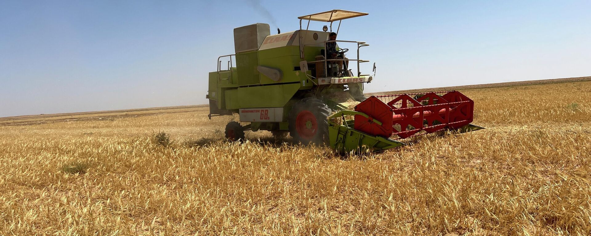 حصاد القمح في ليبيا - سبوتنيك عربي, 1920, 09.02.2023