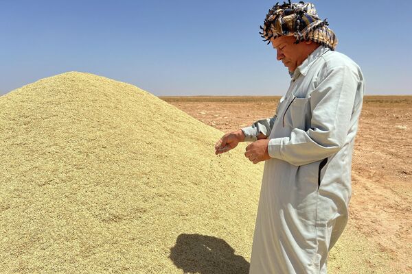 المزارع صالح الرقاص أمام محصوله من القمح في ليبيا - سبوتنيك عربي