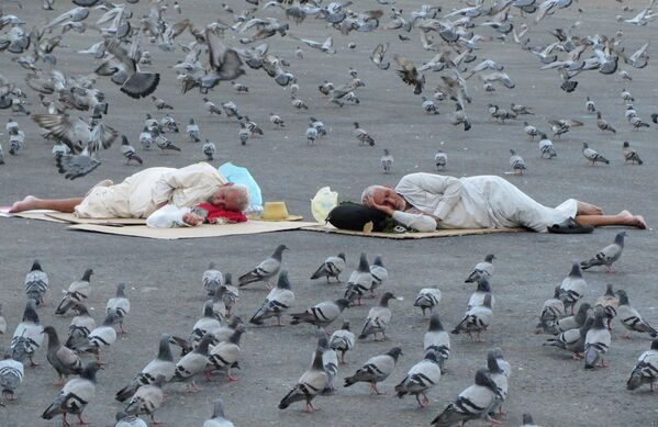 طيور الحمام ينتشرون حول الحجاج النائمين خارج ساحة المسجد الحرام، في مدينة مكة المكرمة في المملكة العربية السعودية في 5 يوليو 2022 - سبوتنيك عربي
