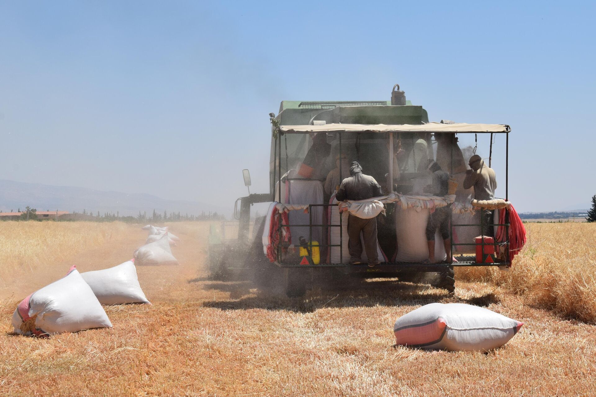مزارعو لبنان يحصدون القمح وسط غياب دعم الدولة//فيديو صور 

 - سبوتنيك عربي, 1920, 08.07.2022