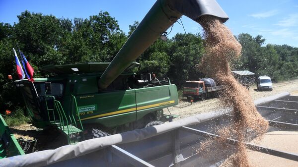 حصاد القمح في شاحنة خلال حملة الحصاد كجزء من يوم الحقل الجمهوري 2022 في حي فولودارسكي في جمهورية دونيتسك الشعبية، 8 يوليو 2022 - سبوتنيك عربي