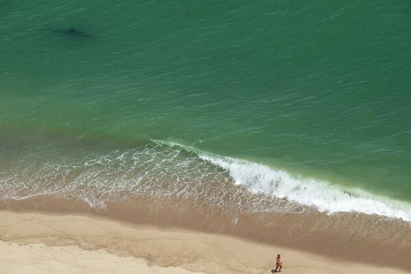 شخص يركض بينما يسبح القرش الأبيض العملاق (في أعلى يسار الصورة) على بعد أمتار قليلة على شاطئ البحر الوطني كيب كود على الجانب الشرقي من كيب كود، ماساتشوستس في 15 يوليو 2022. - سبوتنيك عربي