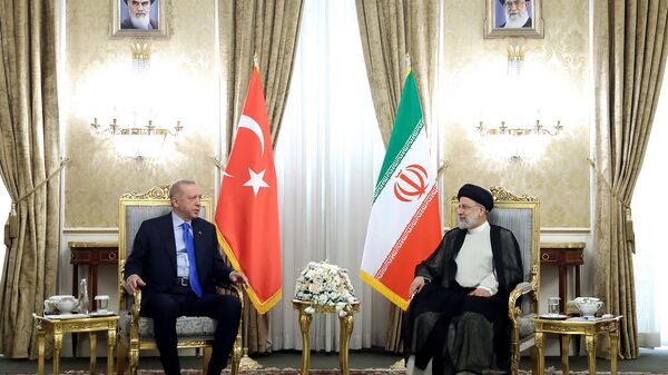 الرئيس الإيراني إبراهيم رئيسي يستقبل الرئيس التركي رجب طيب أردوغان في طهران، 19 يوليو 2022 - سبوتنيك عربي