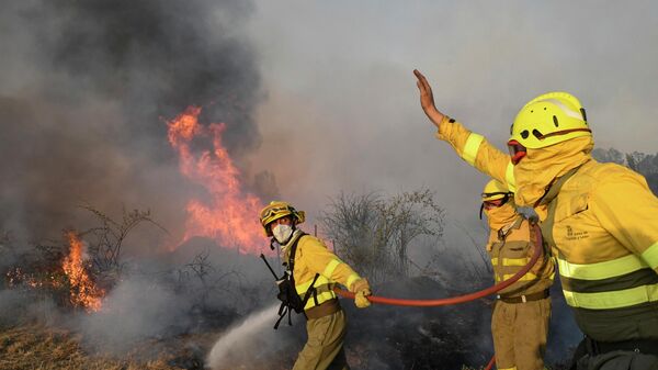 يحاول رجال الإطفاء إخماد حريق غابات بالقرب من قرية تابارا، بالقرب من زامورا، شمال إسبانيا، في 18 يوليو 2022. - سبوتنيك عربي
