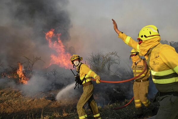 يحاول رجال الإطفاء إخماد حريق غابات بالقرب من قرية تابارا، بالقرب من زامورا، شمال إسبانيا، في 18 يوليو 2022. - سبوتنيك عربي