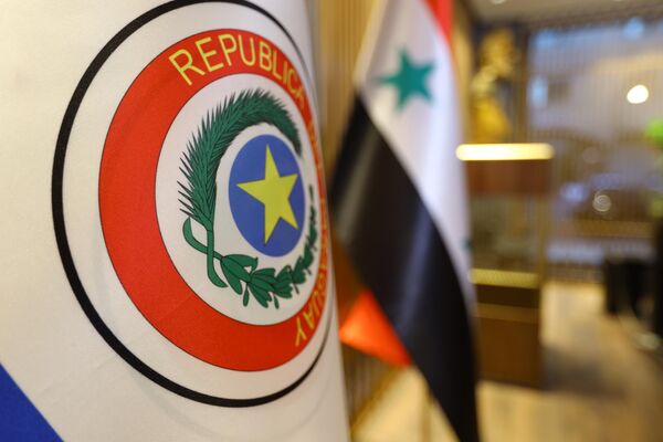 باراغواي تفتتح قنصلية لها في دمشق - سبوتنيك عربي