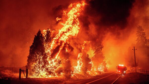 Лесной пожар в Калифорнии  - سبوتنيك عربي