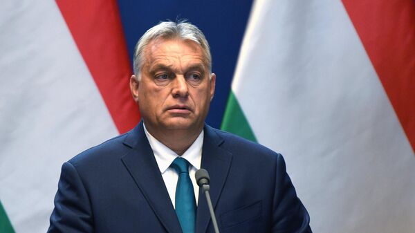 رئيس الوزراء المجري فيكتور أوربان  - سبوتنيك عربي