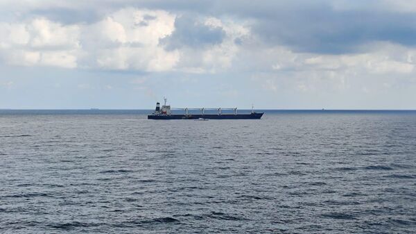 سفينة رازوني المحملة بالذرة في اسطنبول، تركيا 3 أغسطس 2022 - سبوتنيك عربي