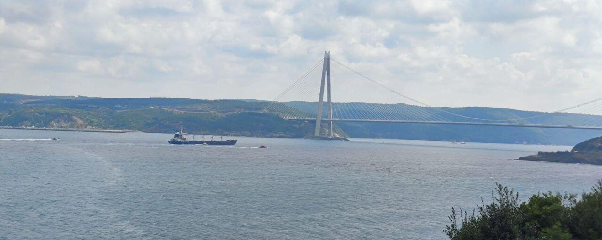 سفينة ريزوني المحملة بالذرة تعبر مضيق البوسفور في اسطنبول، تركيا 3 أغسطس 2022 - سبوتنيك عربي, 1920, 12.02.2023