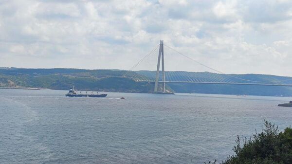 سفينة ريزوني المحملة بالذرة تعبر مضيق البوسفور في اسطنبول، تركيا 3 أغسطس 2022 - سبوتنيك عربي