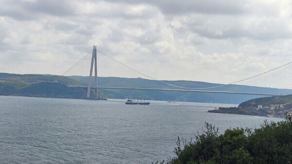 سفينة ريزوني المحملة بالذرة تعبر مضيق البوسفور في اسطنبول، تركيا 3 أغسطس 2022 - سبوتنيك عربي