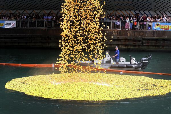 إطلاق خمسة وسبعون ألف بطة مطاطية صفراء في نهر شيكاغو خلال مسابقة داكي ديربيفي في شيكاغو، إلينوي، 4 أغسطس 2022 - سبوتنيك عربي