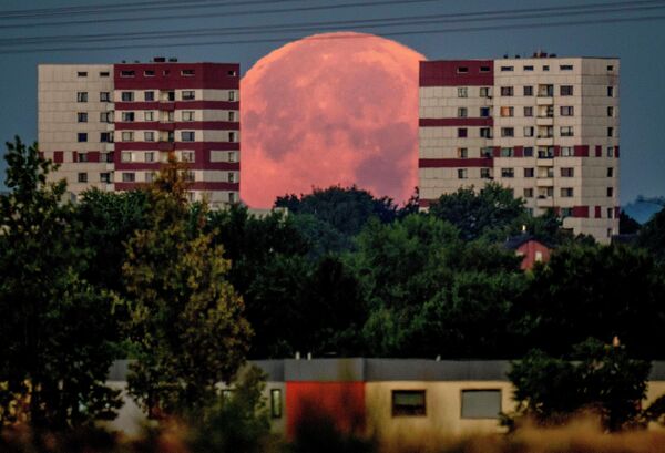 اكتمال القمر خلف المنازل السكنية في ضواحي فرانكفورت، ألمانيا، في وقت مبكر من يوم الجمعة، 12 أغسطس 2022. - سبوتنيك عربي
