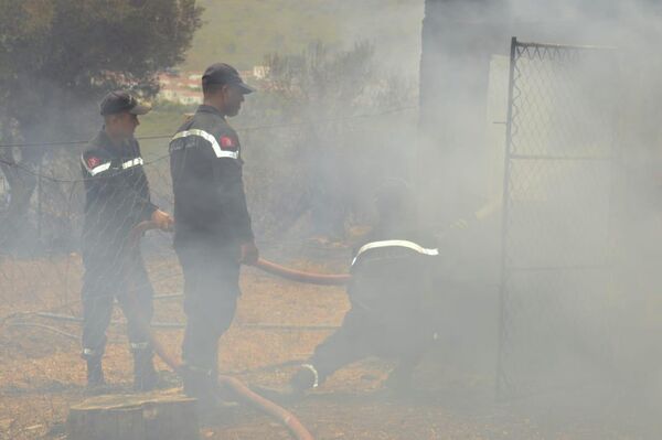 أكثر من 10 حرائق متزامنة في تونس - سبوتنيك عربي