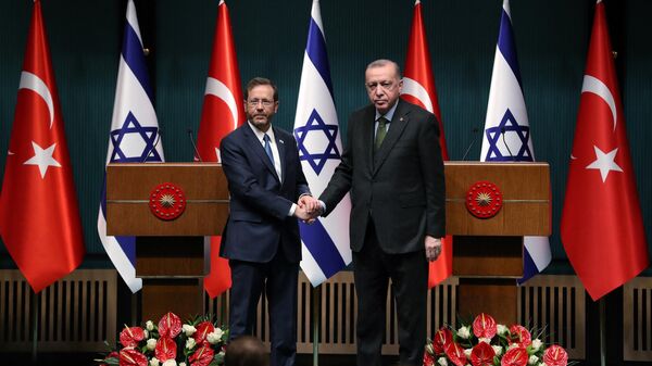 الرئيس التركي رجب طيب أردوغان مع رئيس إسرائيل إسحاق هرتسوغ - سبوتنيك عربي