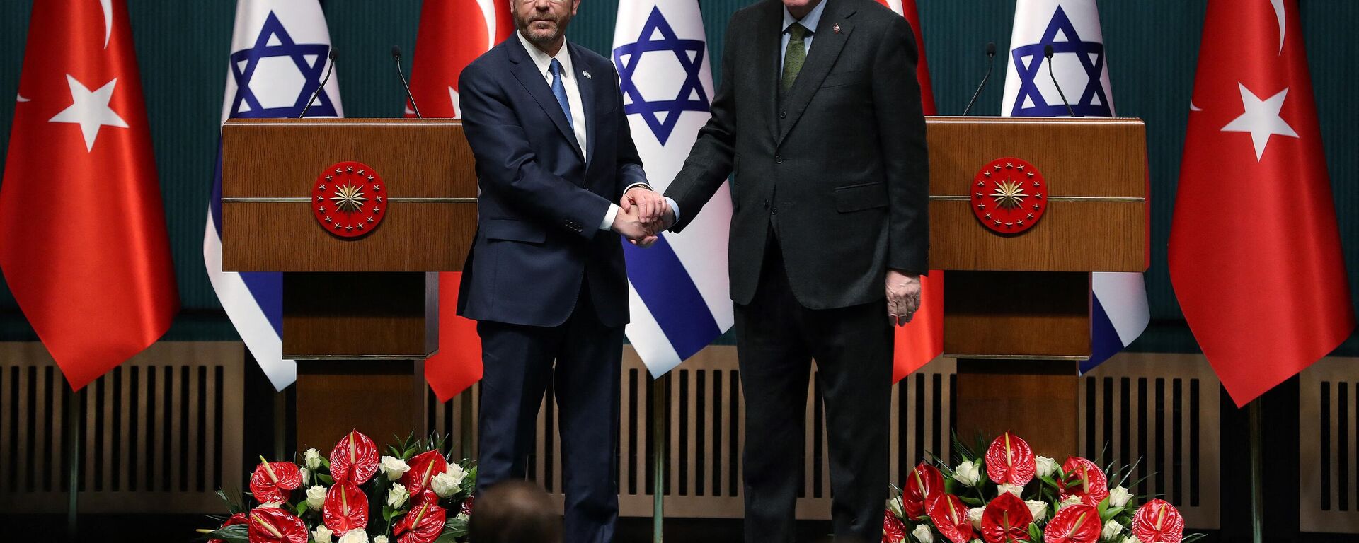 الرئيس التركي رجب طيب أردوغان مع رئيس إسرائيل إسحاق هرتسوغ - سبوتنيك عربي, 1920, 20.09.2022