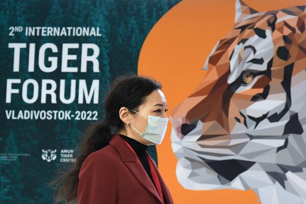 مشاركة في الجلسة العامة حالة تنفيذ البرنامج العالمي لإحياء النمور للفترة من 2010 إلى 2022  في إطار  المنتدى الاقتصادي العالمي في فلاديفوستوك، روسيا 5 سبتمبر 2022  - سبوتنيك عربي