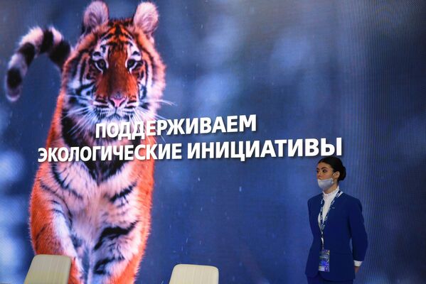 صورة نمر آمور في المنتدى الاقتصادي الشرقي العالمي في فلاديفوستوك، روسيا 5 سبتمبر 2022 - سبوتنيك عربي