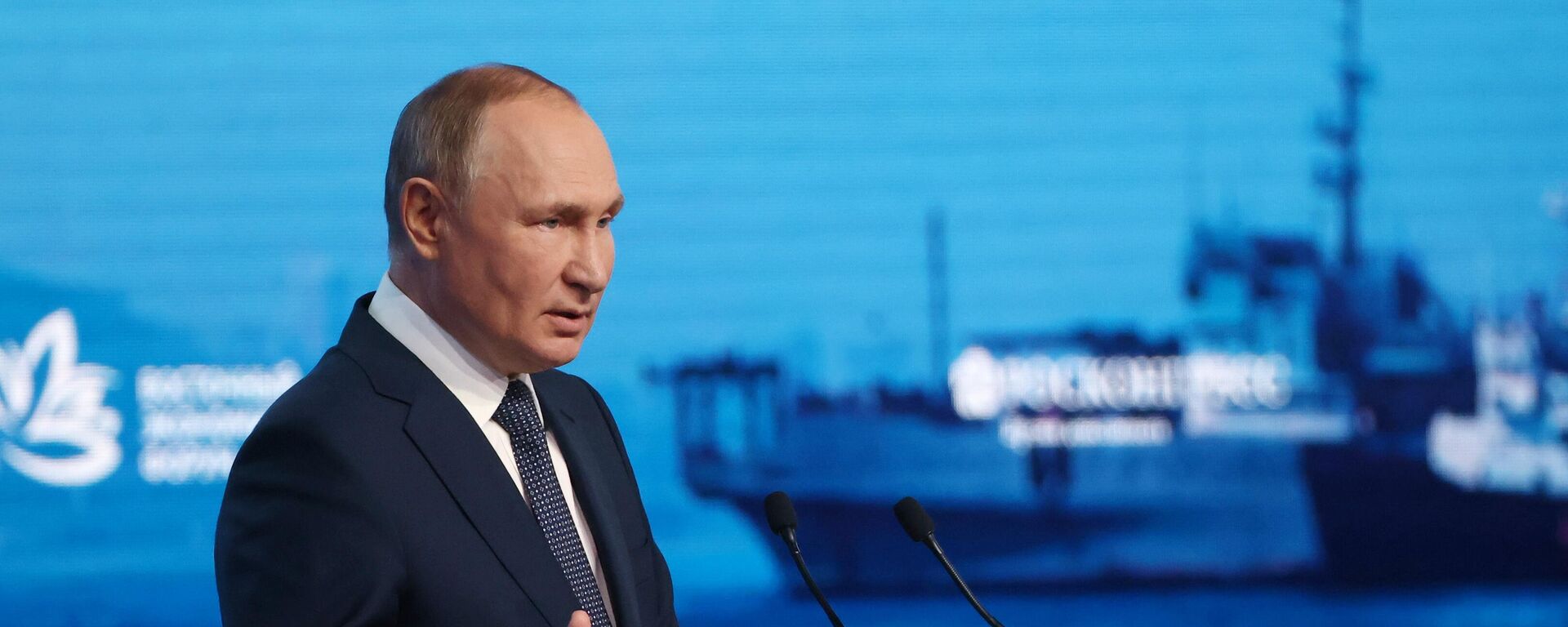 الرئيس الروسي فلاديمير بوتين خلال جلسة عامة للمنتدى الاقتصادي الشرقي 2022 - سبوتنيك عربي, 1920, 19.10.2022