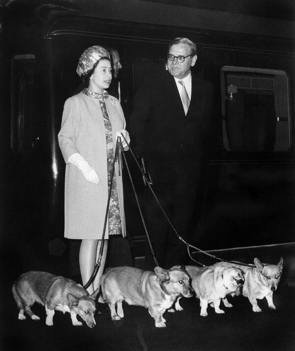 الملكة إليزابيث الثانية في محطة كنغز-كروس في لندن مع كلابها الأربعة من فصيل كورجي. - سبوتنيك عربي