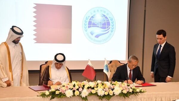 منح مصر وقطر مكانة شريك الحوار في منظمة شنغهاي للتعاون - سبوتنيك عربي