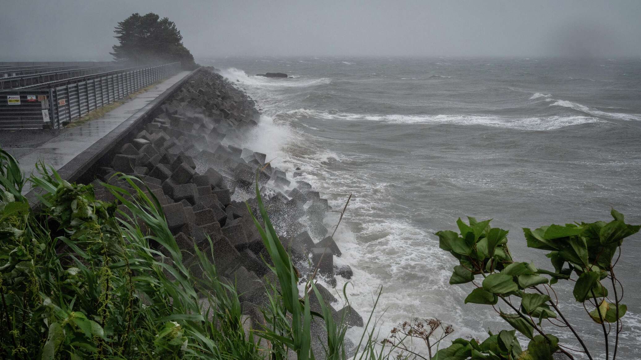 الساحل الغربي لليابان بالكامل مهدد بحدوث تسونامي بعد وقوع زلازل... فيديو