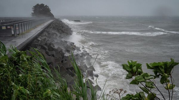 إعصار نانمادول في منطقة أوينو في طوكيو، اليابان 18 سبتمبر 2022. - سبوتنيك عربي