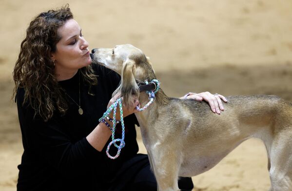 إحدى المشاركات تشجع كلبها خلال مسابقة جمال السلوقي العربي، كجزء من معرض أبوظبي الدولي للصيد والفروسية (ADIHEX) في العاصمة الإماراتية، في 1 أكتوبر 2022. - سبوتنيك عربي