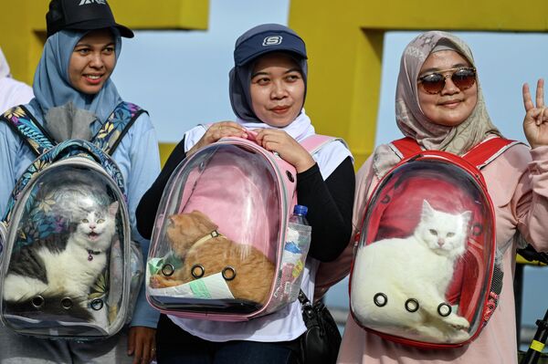يحمل الناس قططهم داخل أكياس حاويات شفافة أثناء مشاركتهم في حملة رعاية الحيوان قبل احتفالات اليوم العالمي للحيوان في 4 أكتوبر، في باندا آتشيه في 2 أكتوبر 2022. - سبوتنيك عربي